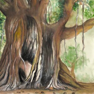 Banyan Tree Print